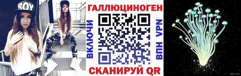 где можно купить   площадка состав  Псилоцибиновые грибы GOLDEN TEACHER  Дивногорск 