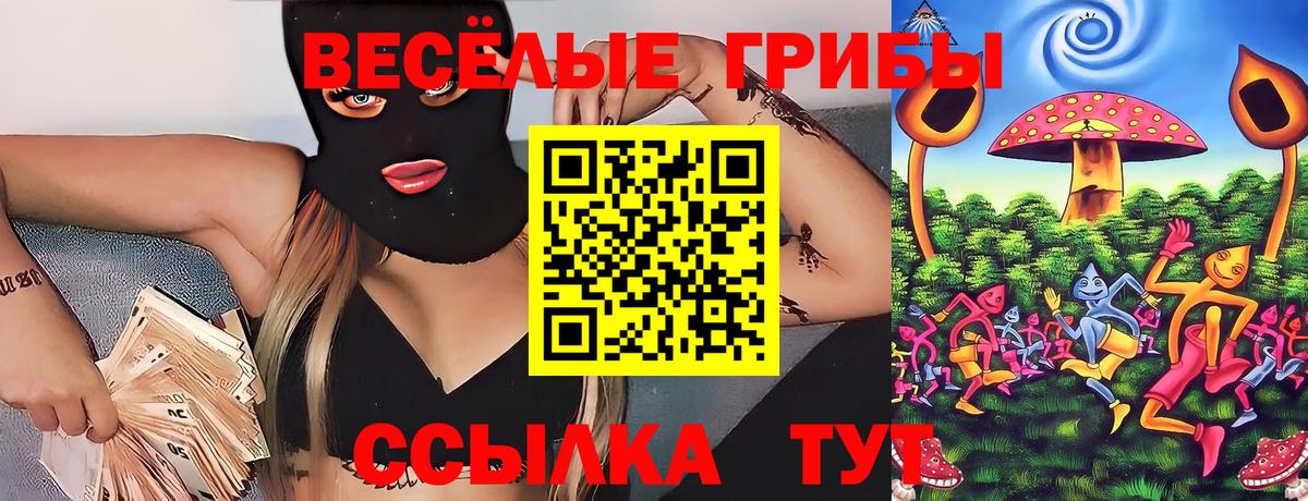Галлюциногенные грибы ЛСД Дивногорск