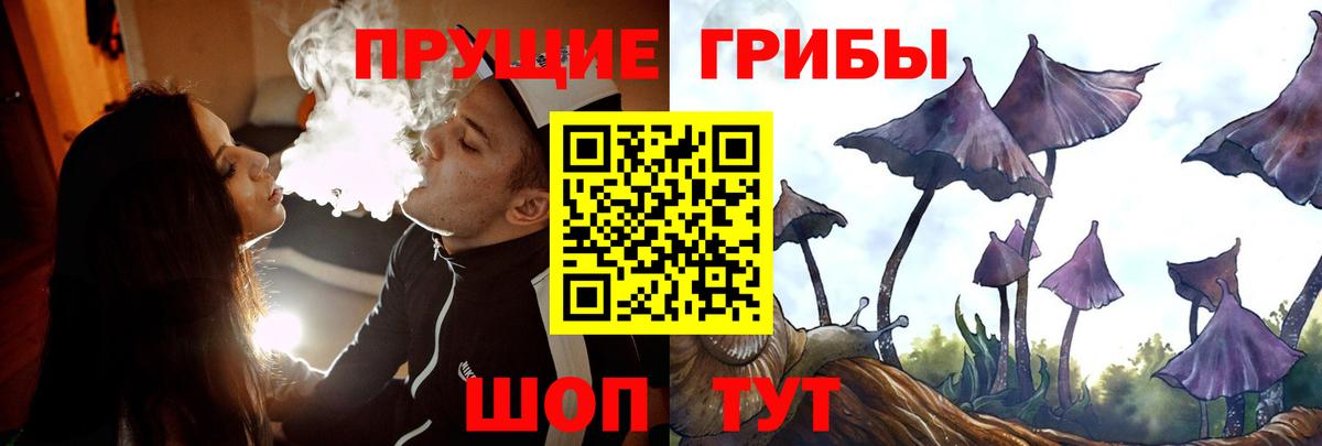 Дивногорск  Галлюциногенные грибы Cubensis  Вход с VPN  Псилоцибиновые грибы Cubensis 
