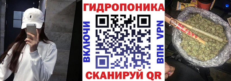 Бошки Шишки Amnesia  Дивногорск 
