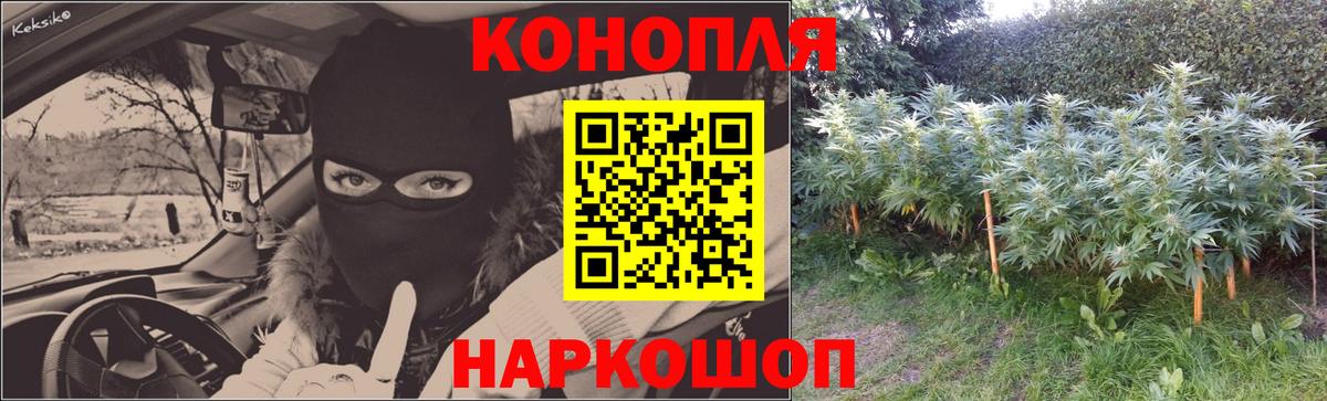 Конопля марихуана  Вход с VPN  Бошки марихуана семена  Дивногорск  Шишки марихуана SATIVA & INDICA 